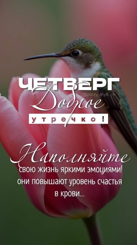 Картинки Доброе утро четверга (80 открыток). Стильные кргартинки Доброе утро четверга