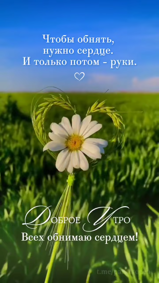 Картинки с добрым летним утром (70 открыток). Доброе летнее утро - картинки с пожеланиями