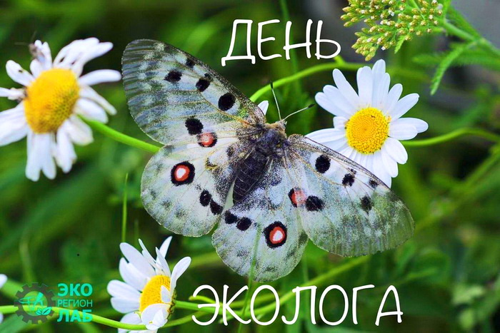 Картинки с Днем эколога (60 открыток). Красивые картинки с Днем эколога