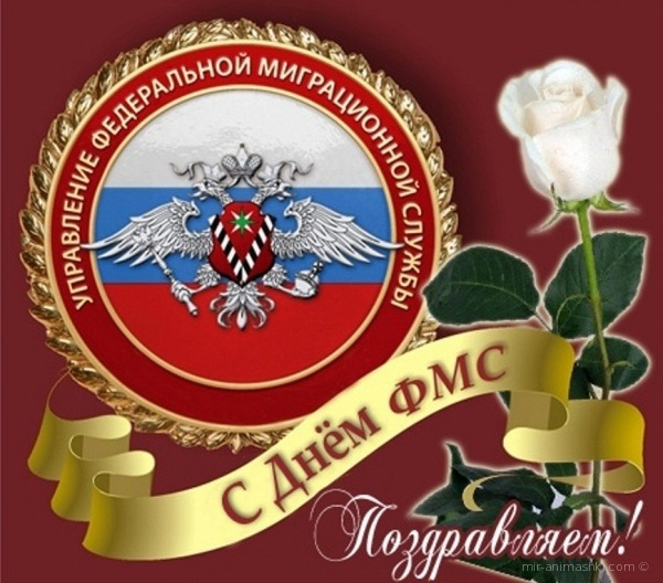 Картинки с Днем работника миграционной службы (30 открыток). Красивые картинки с Днем работника миграционной службы