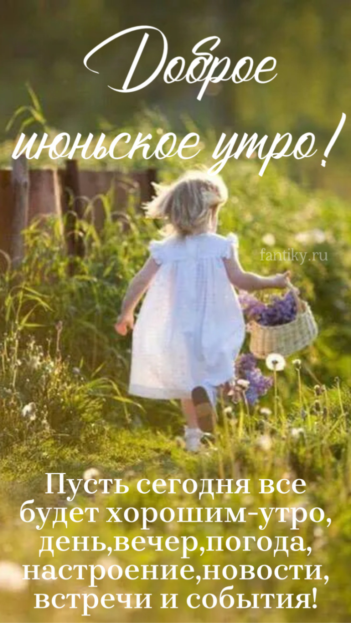 Картинки с добрым июньским утром (140 открыток). Позитивные картинки с пожеланием Доброго июньского утра