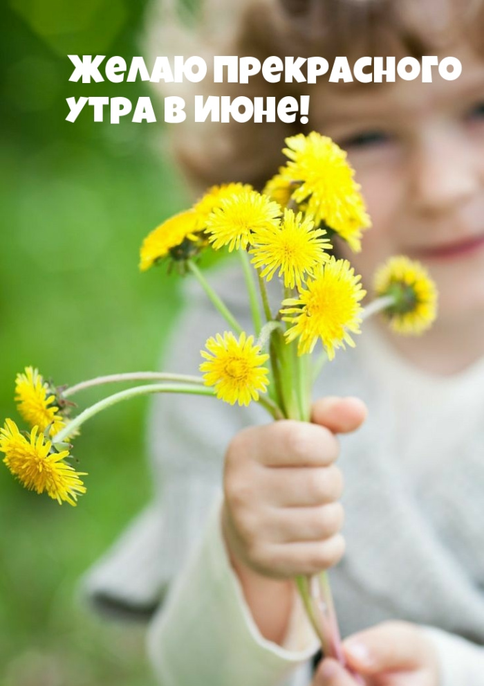 Картинки с добрым июньским утром (140 открыток). Позитивные картинки с пожеланием Доброго июньского утра