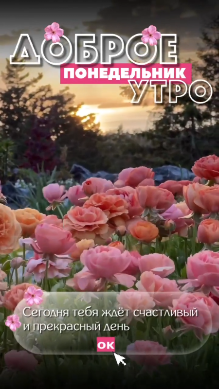 Картинки "Доброе утро понедельника" . Красивые картинки Доброе утро понедельника