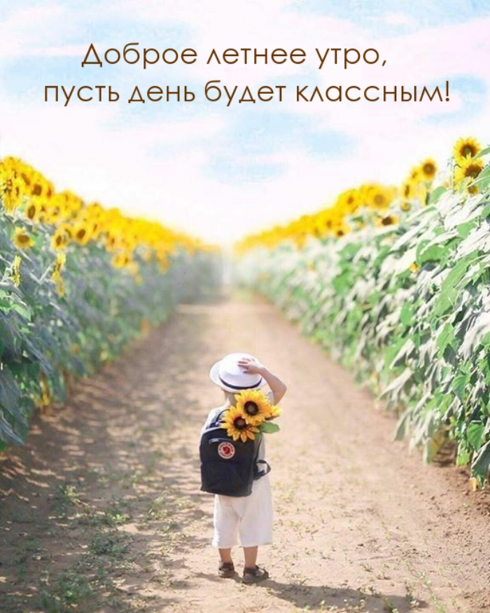 Картинки с добрым летним утром (195 открыток). Доброе летнее утро: картинки с надписями