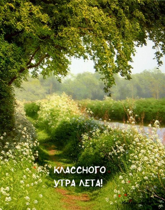 Картинки с добрым летним утром (195 открыток). Доброе летнее утро: картинки с надписями
