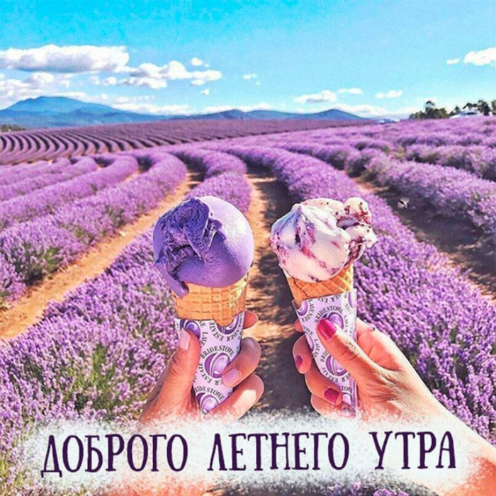 Картинки с добрым летним утром (195 открыток). Доброе летнее утро: картинки с надписями