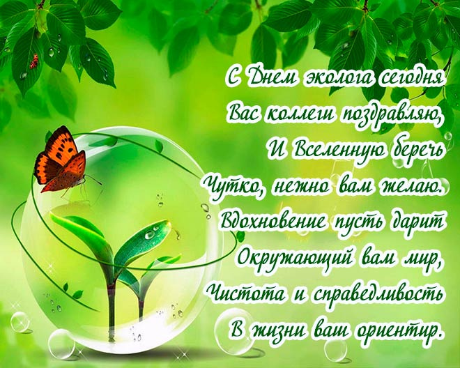 Картинки с Днем эколога (60 открыток). День эколога: картинки с поздравлениями