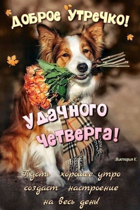Картинки Доброе утро четверга (80 открыток). Позитивные картинки Доброе утро четверга