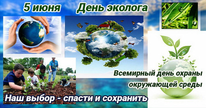 Картинки с Днем эколога (60 открыток). День эколога: картинки с поздравлениями
