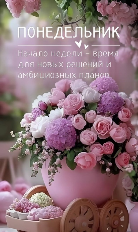 Картинки "Доброе утро понедельника" . Красивые картинки Доброе утро понедельника