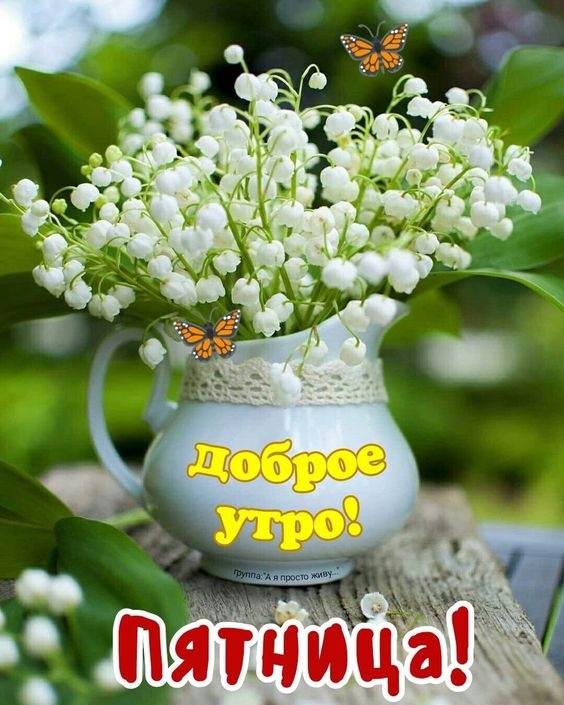 Картинки Доброе утро пятницы. Красивые картинки Доброе утро пятницы