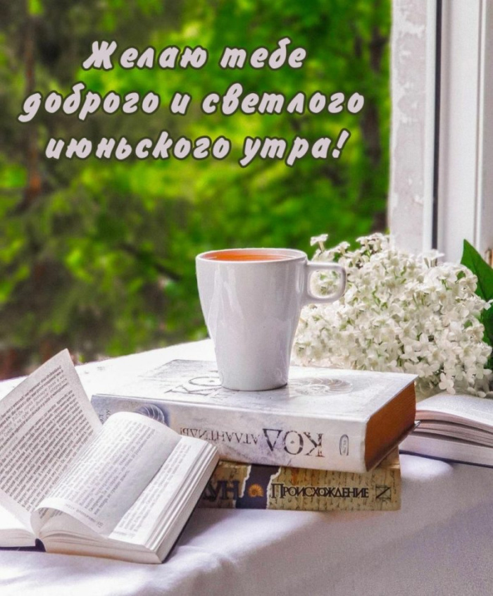 Картинки с добрым июньским утром (140 открыток). Позитивные картинки с пожеланием Доброго июньского утра