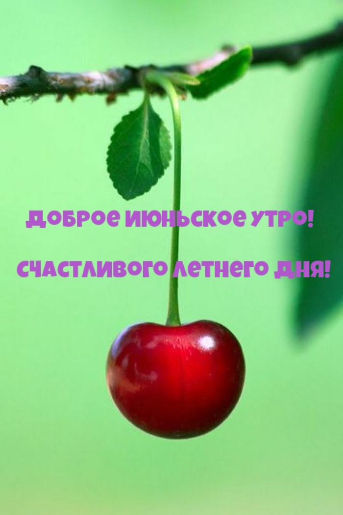 Картинки с добрым июньским утром (140 открыток). Доброе утро июня: картинки с надписями