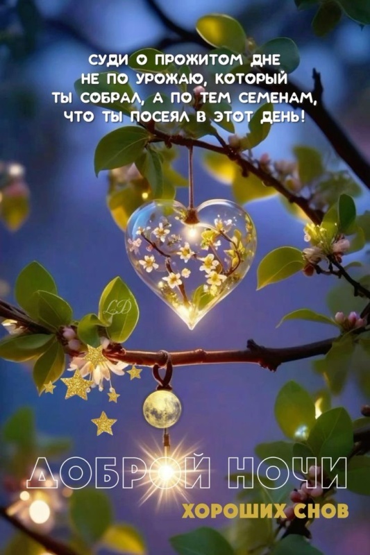 Картинки "Доброй летней ночи". Добрый летний вечер - картинки с пожеланиями