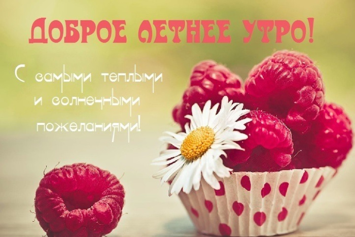 Картинки с добрым летним утром (195 открыток). Позитивные картинки с пожеланием Доброго летнего утра