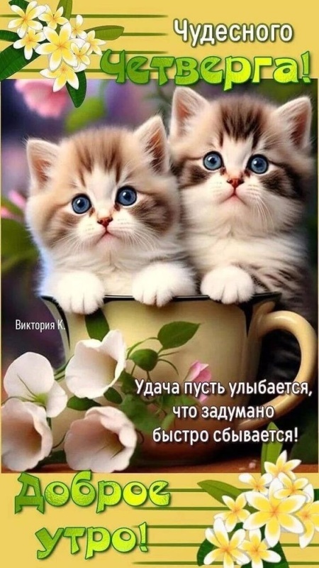 Картинки Доброе утро четверга (80 открыток). Позитивные картинки Доброе утро четверга