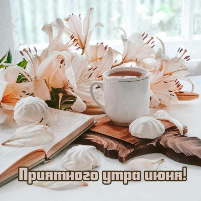 Картинки с добрым июньским утром (140 открыток). Позитивные картинки с пожеланием Доброго июньского утра