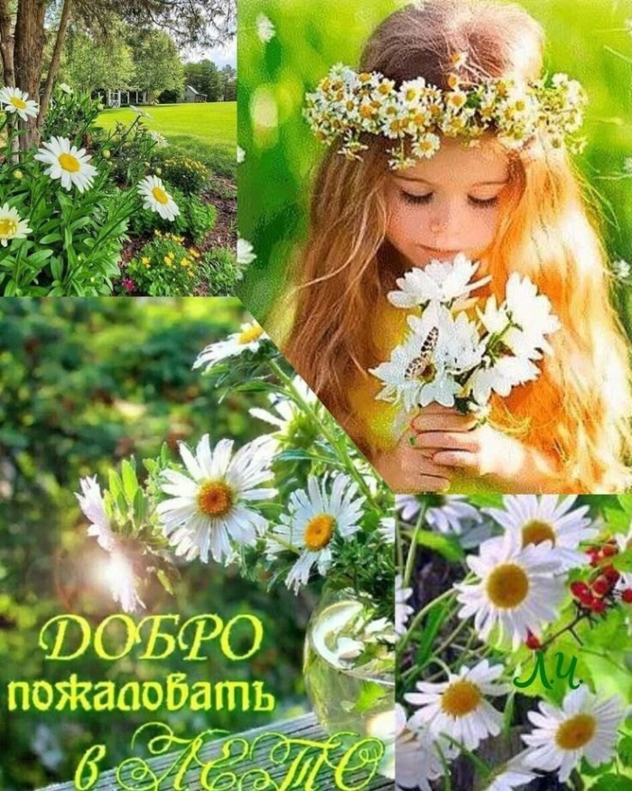 Картинки с первым днем лета (55 открыток). Картинки с надписями: первый день лета, здравствуй лето, с началом лета