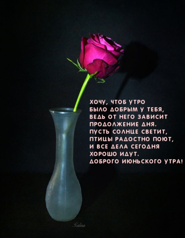 Картинки с добрым июньским утром (140 открыток). Доброе утро июня: картинки с надписями