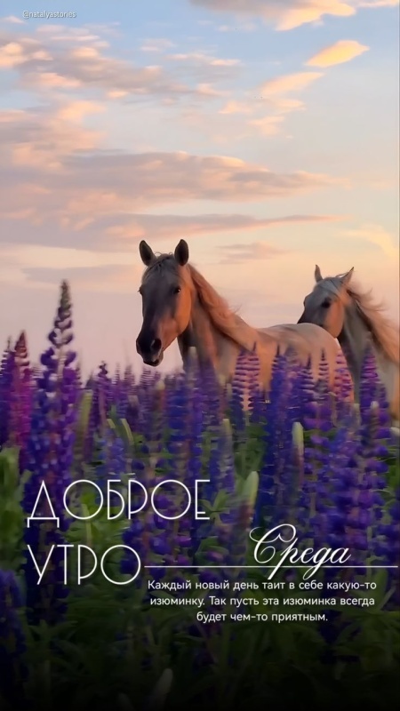 Картинки Доброе утро среды (90 открыток). Красивые картинки Доброе утро среды