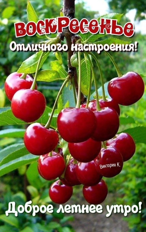 Картинки Доброе утро воскресенья (90 открыток). Картинки с надписью "Доброе утро воскресенья"