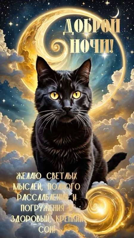 Картинки Доброй ночи красивые и прикольные. Красивые картинки Доброй ночи