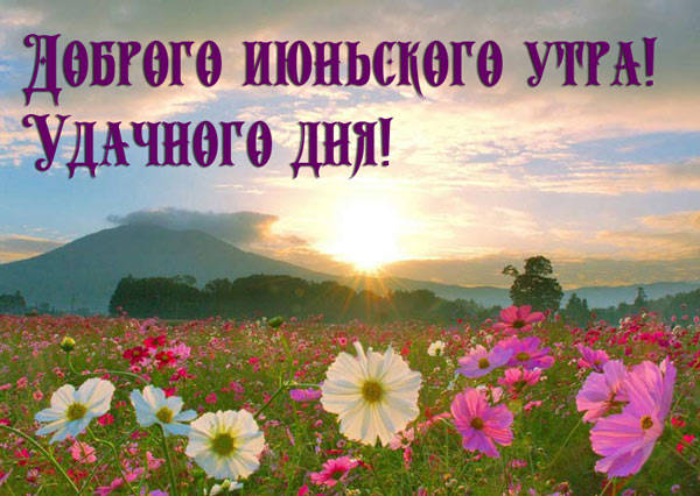 Картинки с добрым июньским утром (140 открыток). Позитивные картинки с пожеланием Доброго июньского утра