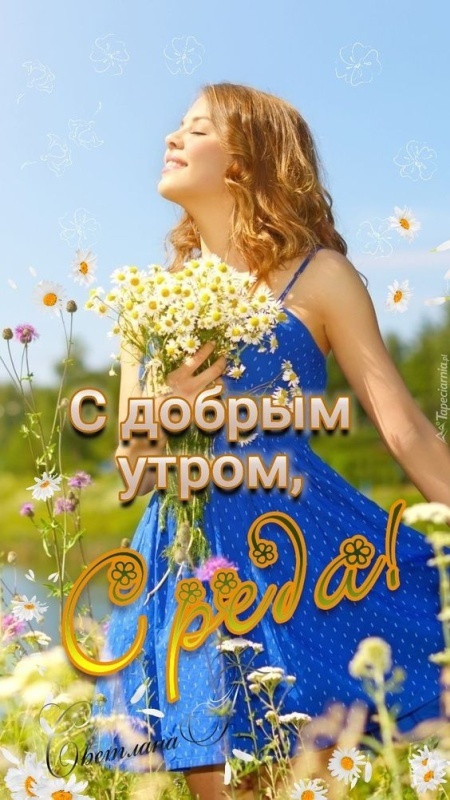Картинки Доброе утро среды (90 открыток). Прикольные картинки Доброе утро среда