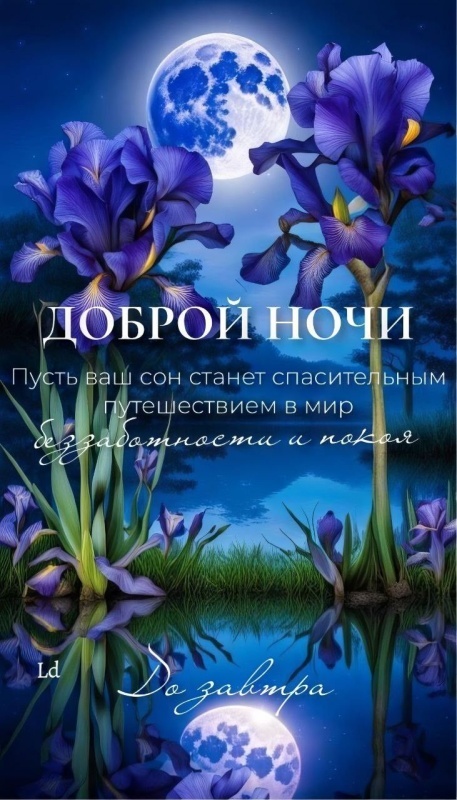 Картинки "Доброй летней ночи". Красивые открытки Доброй летней ночи с цветами