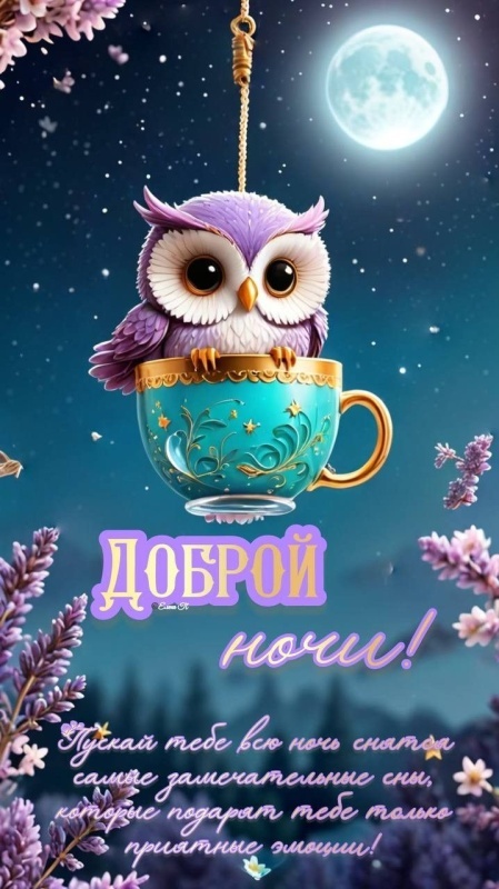 Картинки Доброй ночи красивые и прикольные. Позитивные картинки Доброй ночи