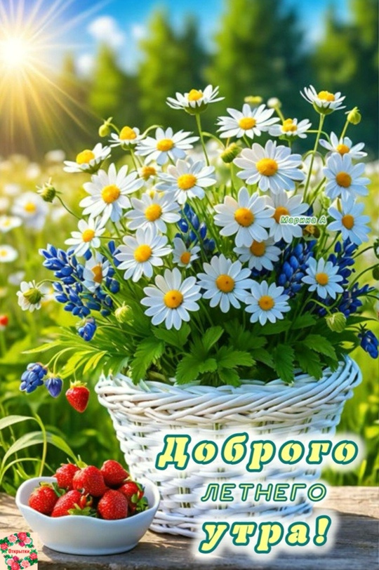 Картинки с добрым летним утром (195 открыток). Доброе летнее утро: картинки с надписями