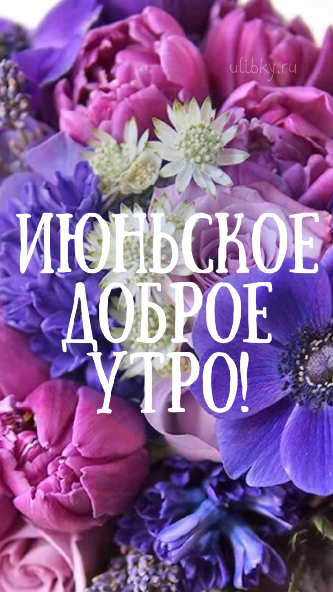 Картинки с добрым июньским утром (140 открыток). Позитивные картинки с пожеланием Доброго июньского утра