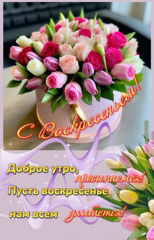 Картинки Доброе утро воскресенья (90 открыток). Картинки "Доброе утро воскресенья" красивые и новые