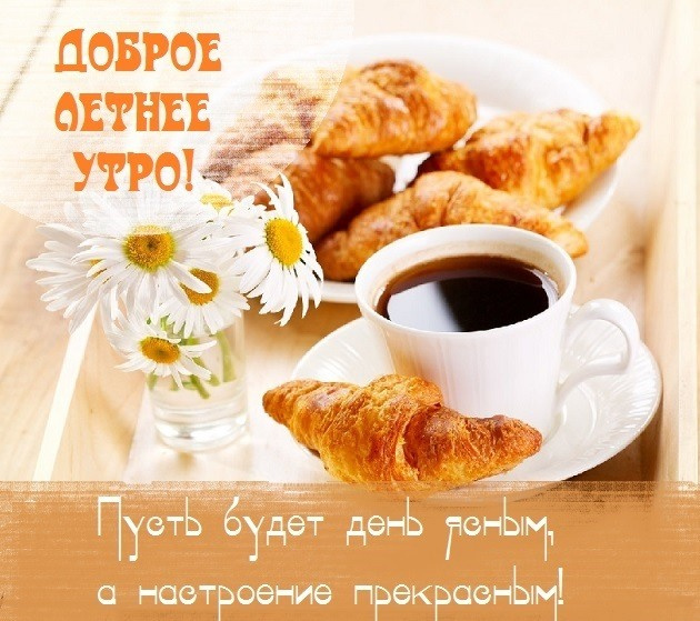 Картинки с добрым летним утром (195 открыток). Позитивные картинки с пожеланием Доброго летнего утра