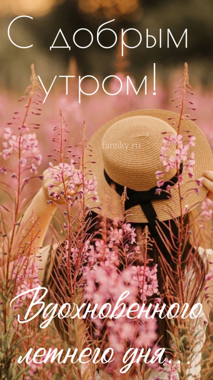 Картинки с добрым летним утром (195 открыток). Доброе летнее утро: картинки с надписями