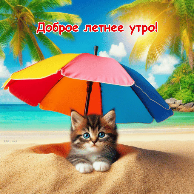Картинки с добрым летним утром (195 открыток). Позитивные картинки с пожеланием Доброго летнего утра
