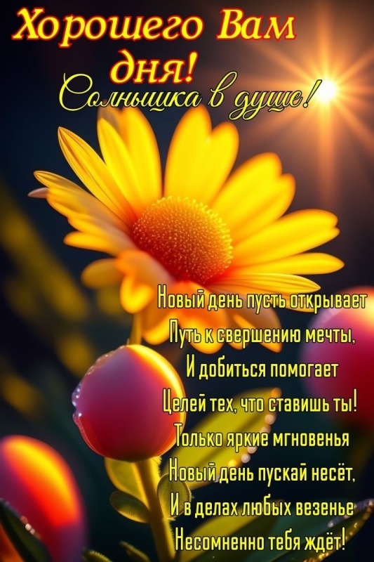 Красивые картинки "Хорошего дня" . Картинки Хорошего и доброго дня