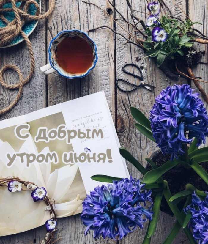 Картинки с добрым июньским утром (140 открыток). Доброе утро июня: картинки с надписями