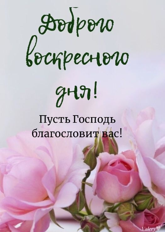 Картинки Доброе утро воскресенья (90 открыток). Картинки с надписью "Доброе утро воскресенья"