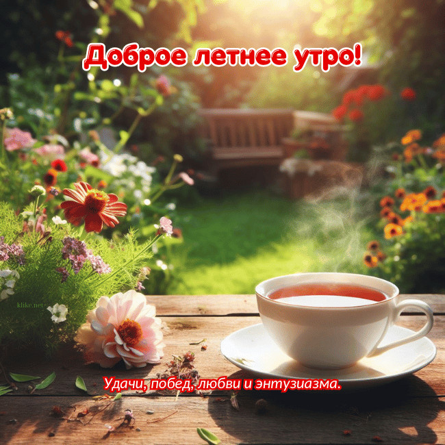 Картинки с добрым летним утром (195 открыток). Позитивные картинки с пожеланием Доброго летнего утра