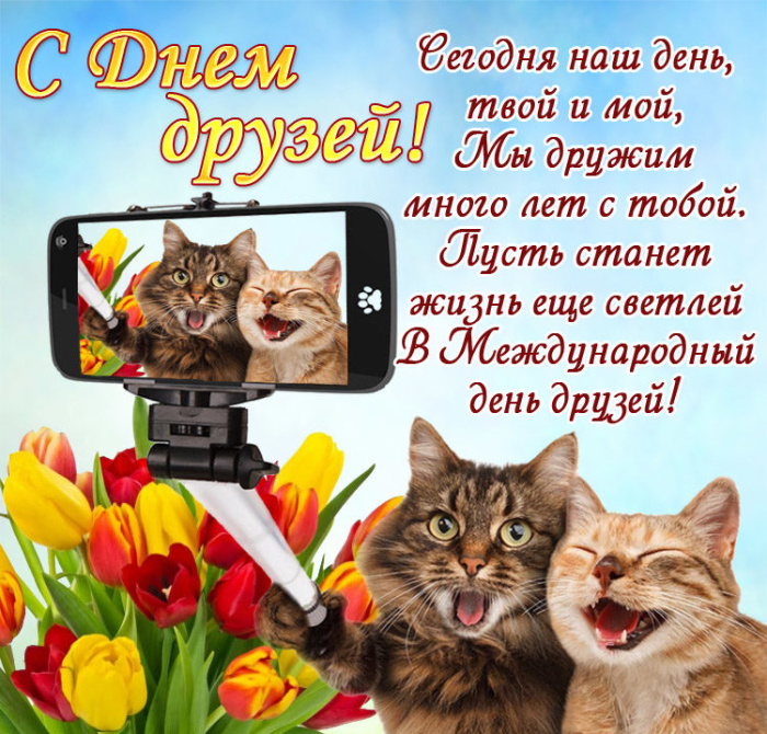 Картинки с Днем друзей (100 открыток). Прикольные и позитивные картинки с Днем друзей