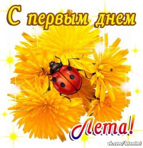 Картинки с первым днем лета (55 открыток). Картинки с надписями: первый день лета, здравствуй лето, с началом лета