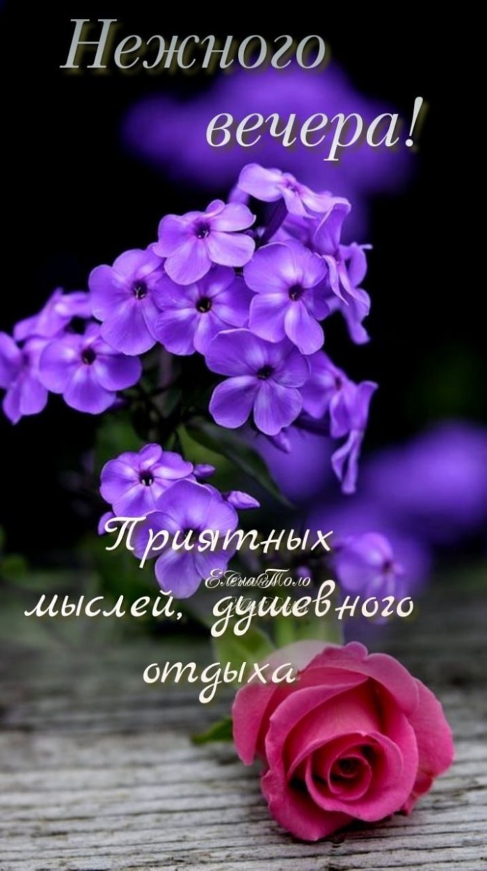 Красивые картинки Добрый летний вечер (70 открыток). Картинки добрый летний вечер