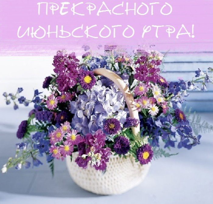 Картинки с добрым июньским утром (140 открыток). Доброе утро июня: картинки с надписями
