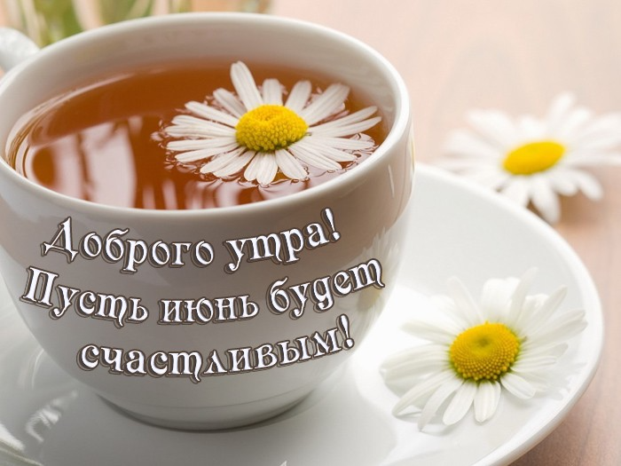 Картинки с добрым июньским утром (140 открыток). Доброе утро июня: картинки с надписями