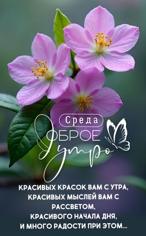 Картинки Доброе утро среды (90 открыток). Доброе утро среды - картинки с пожеланиями