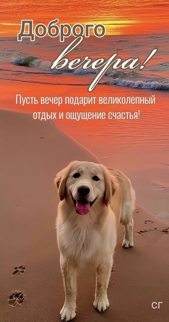 Красивые картинки Добрый летний вечер (70 открыток). Красивые картинки Добрый летний вечер