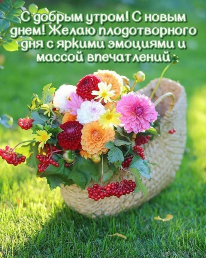 Картинки с добрым летним утром (195 открыток). Доброе летнее утро: картинки с надписями