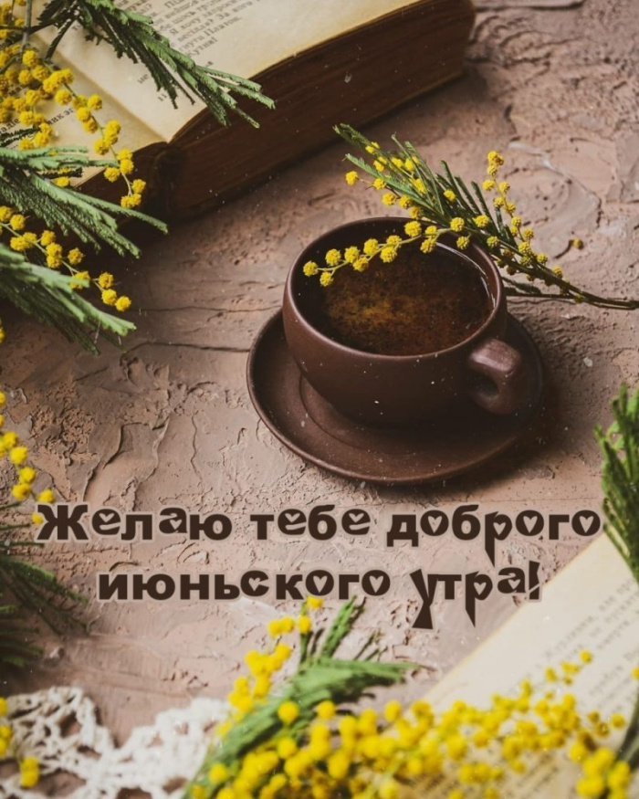 Картинки с добрым июньским утром (140 открыток). Доброе утро июня: картинки с надписями