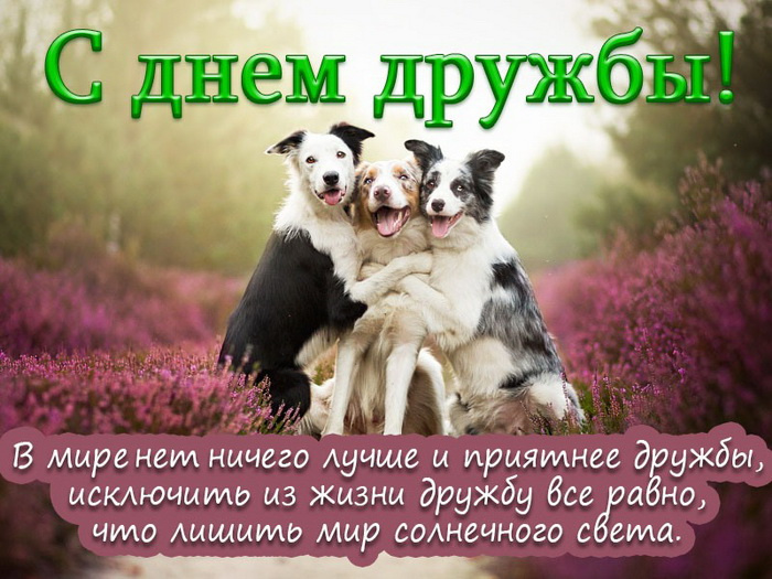Картинки с Днем друзей (100 открыток). Прикольные и позитивные картинки с Днем друзей